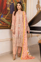 Pakistani Winter Dress