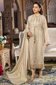 Pakistani Party Wear Dress