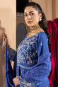 Pakistani Winter Dress