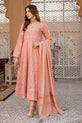 Pakistani Plus Size Dress