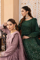 Pakistani Plus Size Dresses