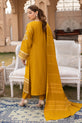 Pakistani Winter Dress