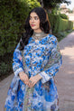 Blue Pakistani Salwar Kameez