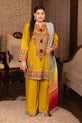 Pakistani Eid Dress