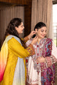 Pakistani Chiffon Dresses