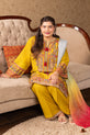 Pakistani Lawn Dress