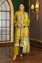 Pakistani Mehndi Dress