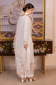 Pakistani Plus Size Dress