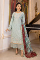 Pakistani Plus Size Dress