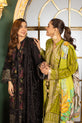 Pakistani Plus Size Dresses