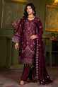 Pakistani Winter Dress