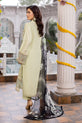 Plus Size Dress For Women