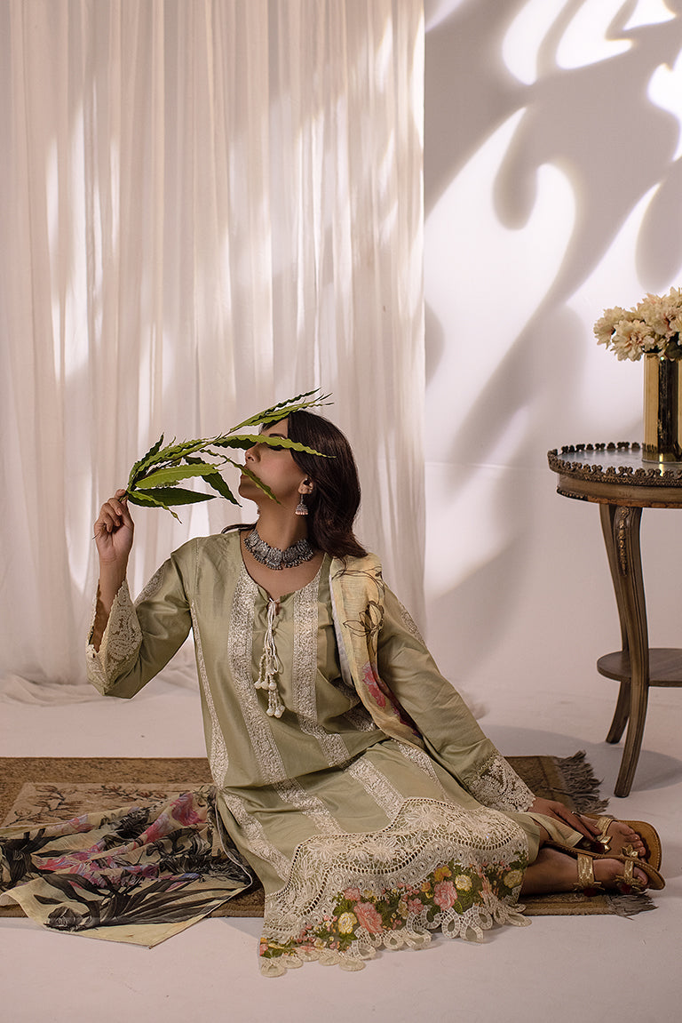 Pakistani Party Wear Dress