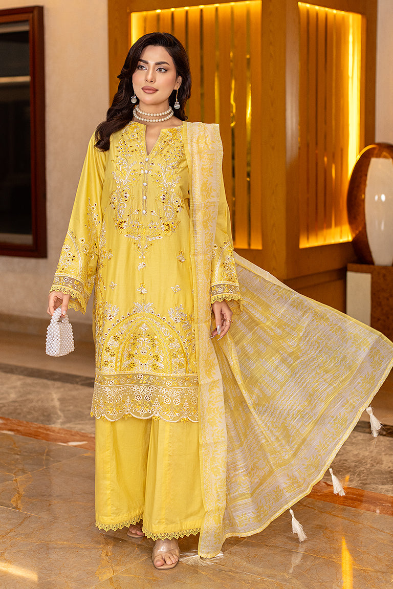Pakistani Eid Dress