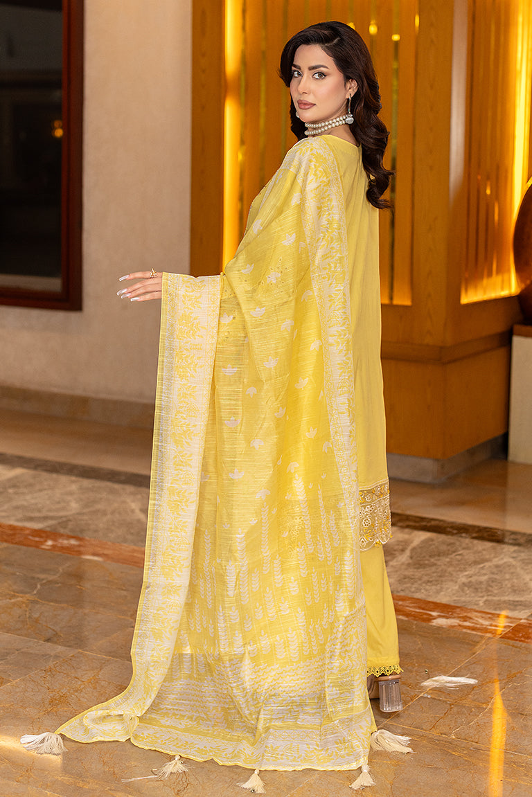 Pakistani Mehndi Dress