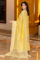 Pakistani Mehndi Dress