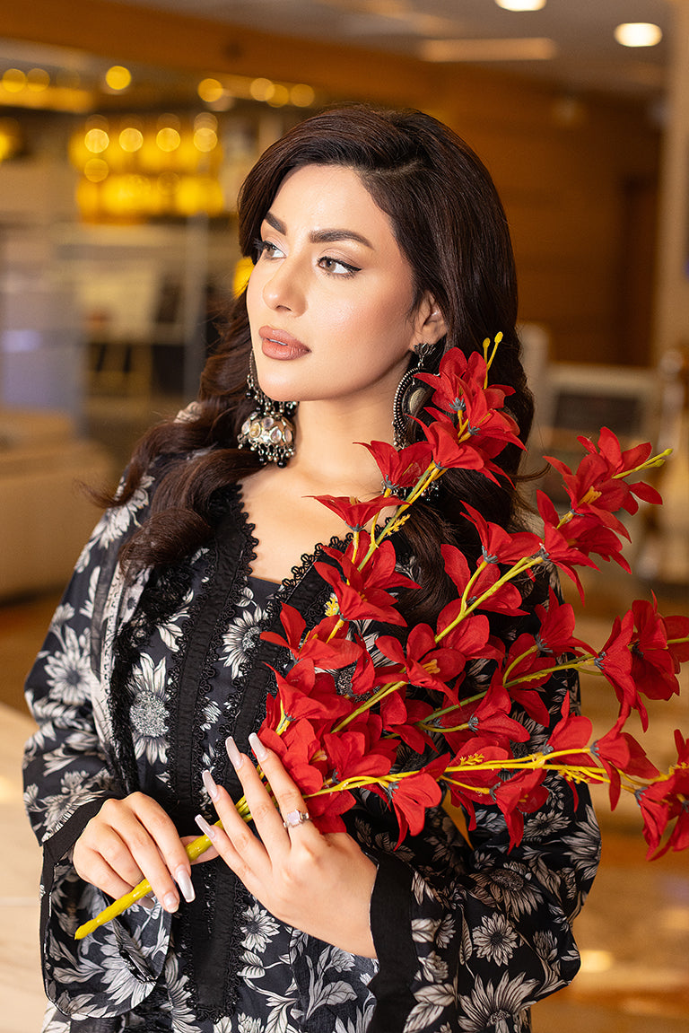Pakistani Plus Size Dress