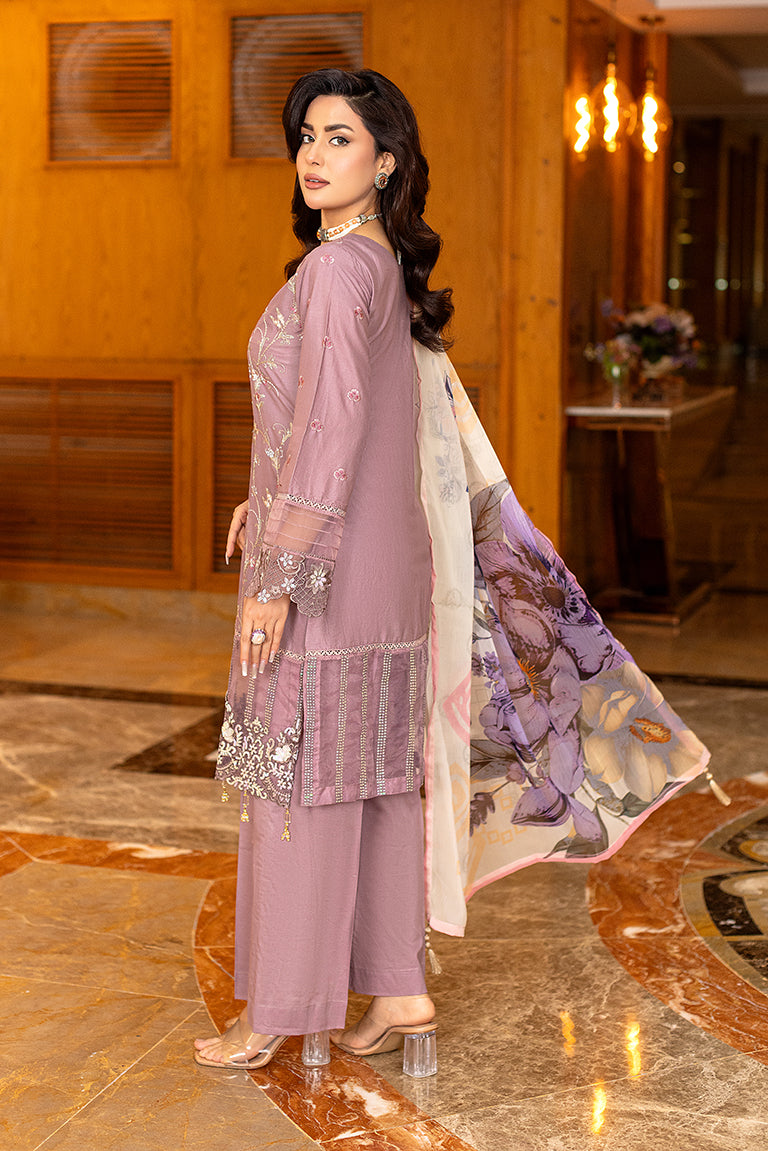Pakistani Plus Size Dress