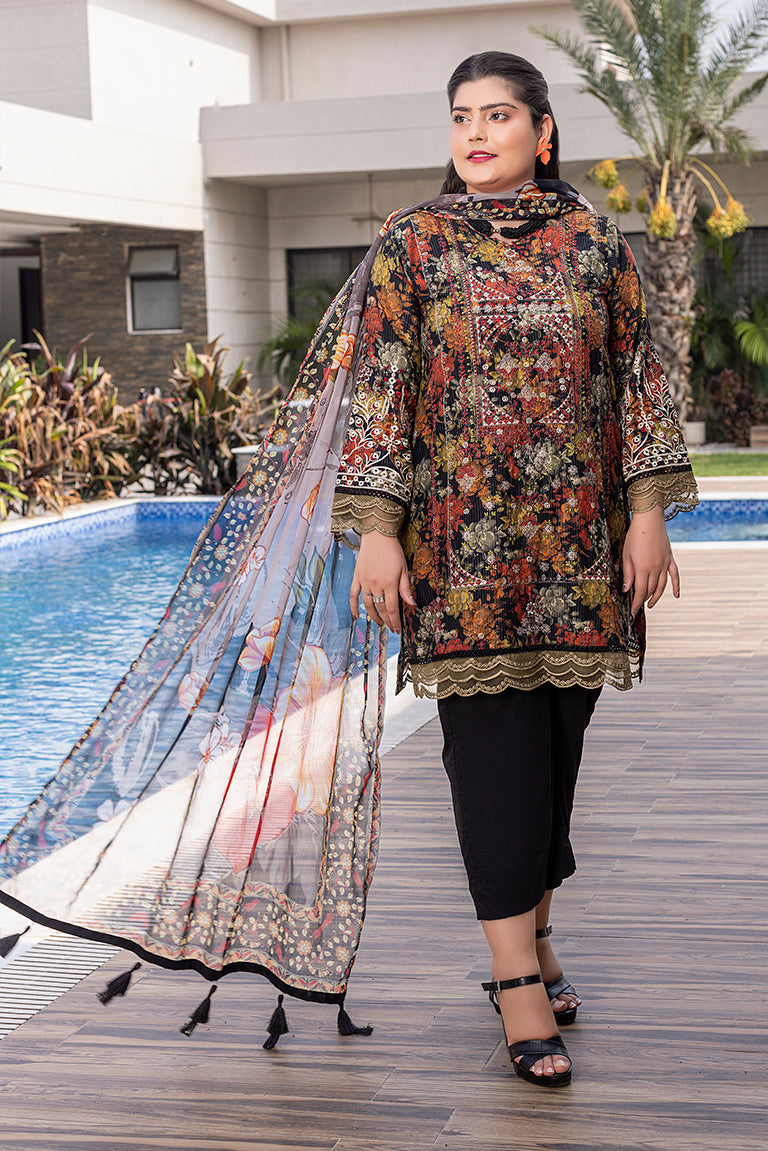 Pakistani Plus Size Dress