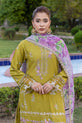 . Pakistani Summer Dress
