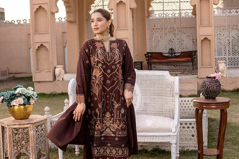 Pakistani Plus Size Dress