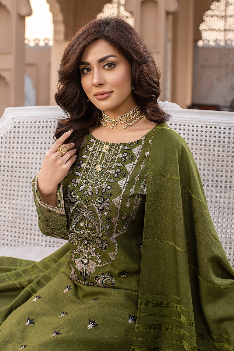 Pakistani Mehndi Dress