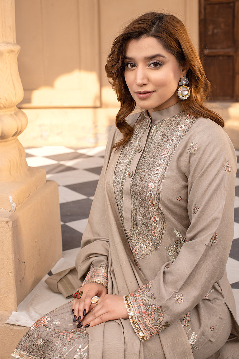 Pakistani Winter Dress