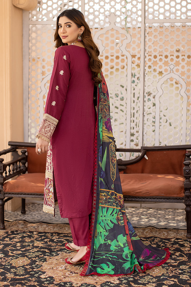 Pakistani Plus Size Dress