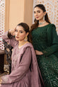 Pakistani Plus Size Dresses