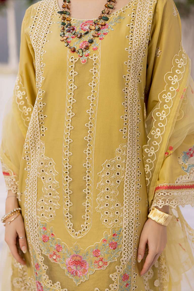 Pakistani Eid Dresses