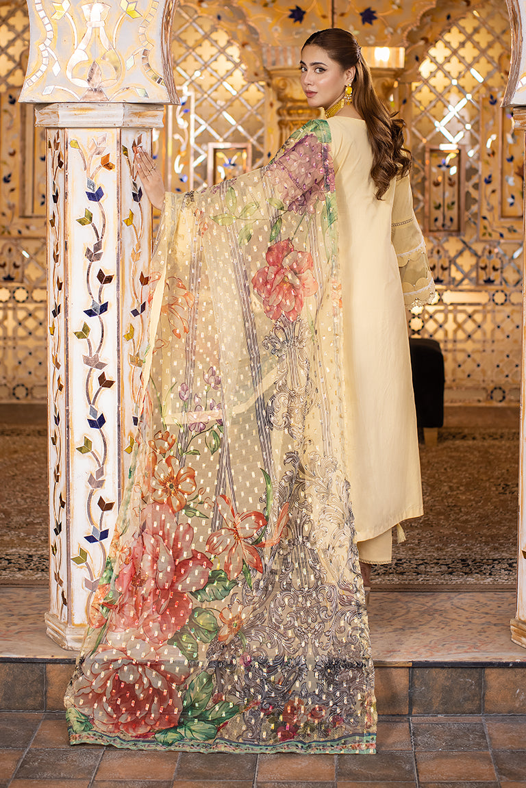 Pakistani Mehndi Dress