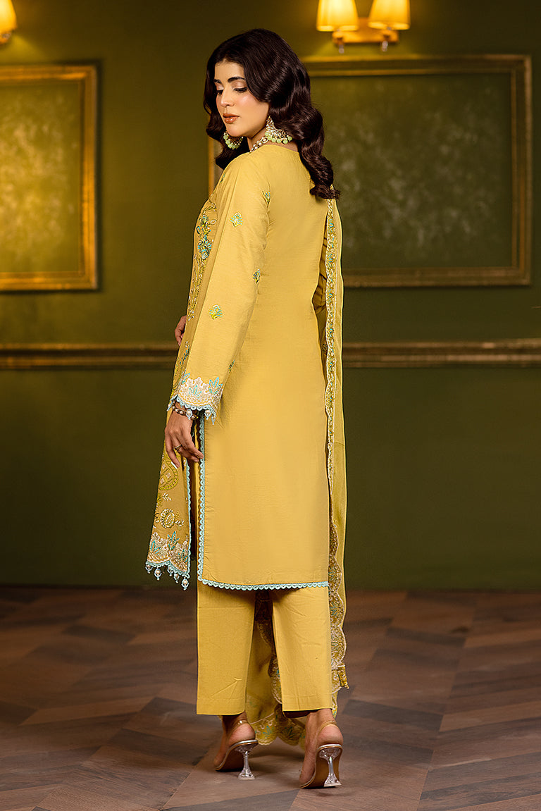 Salwar Kameez