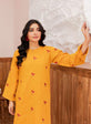 Salwar kameez