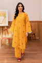 Salwar kameez