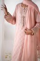 Pakistani Salwar kameez