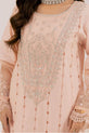 Pakistani Designer Dress