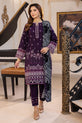 Pakistani Winter Dress