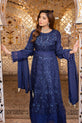 Pakistani Plus Size Dress