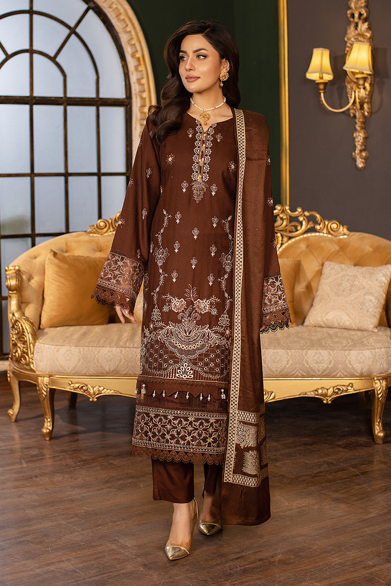 Pakistani Winter Dress