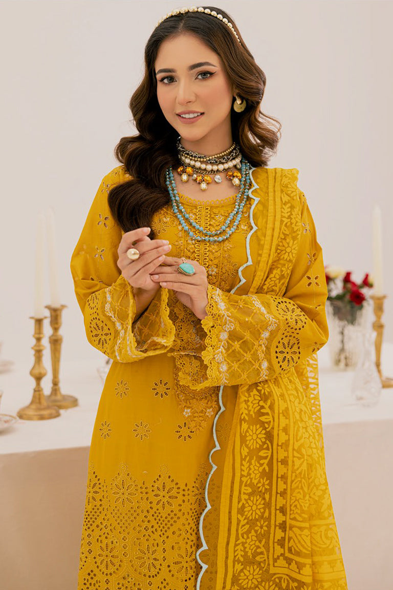 Pakistani Party Dress