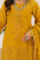 Pakistani Dress