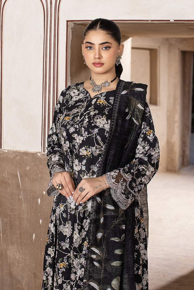 Black Pakistani Party Wear Dress