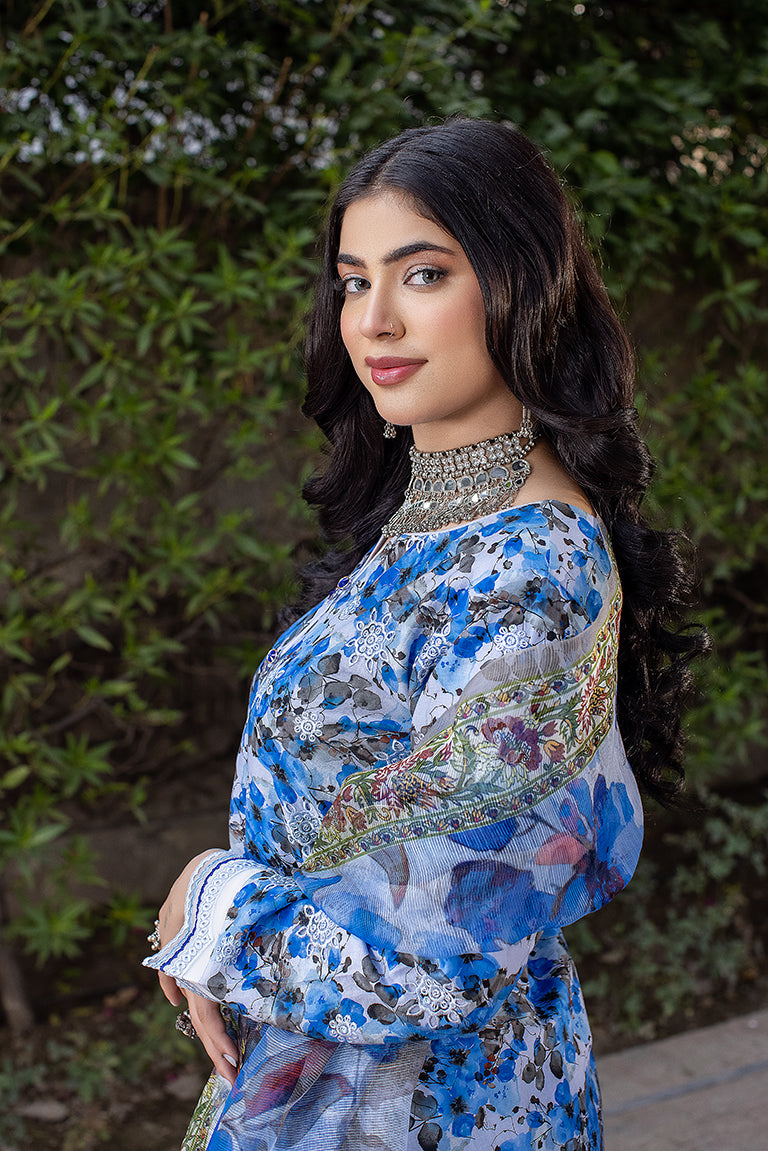 Blue Pakistani Party Wear Dress