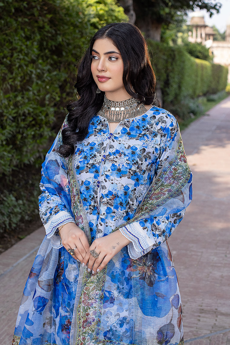 Blue Pakistani Salwar Kameez