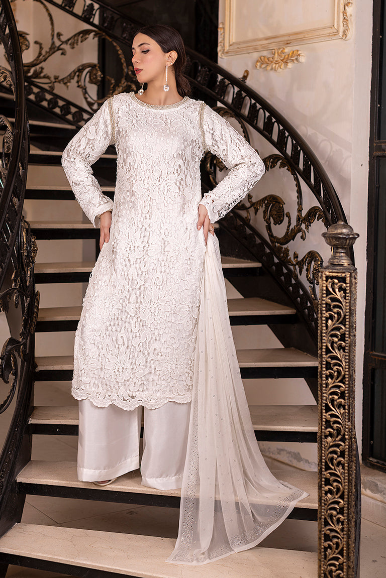 Chiffon Dress or Women