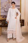 SMALL TO 5XL- RIDDA