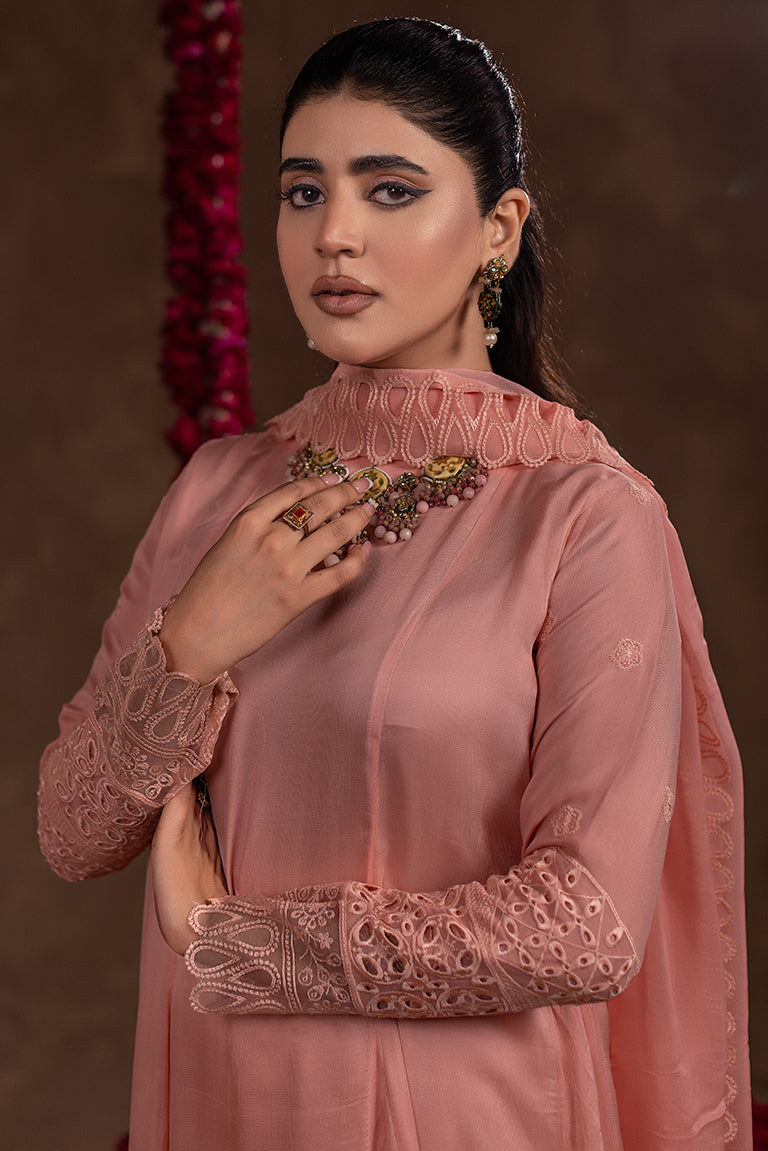 Embroidered Chiffon Dress