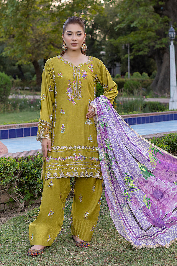 Embroidered Farshi Linen Suit