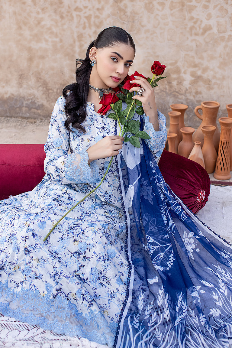 Embroidered Pakistani Plus Size Dress