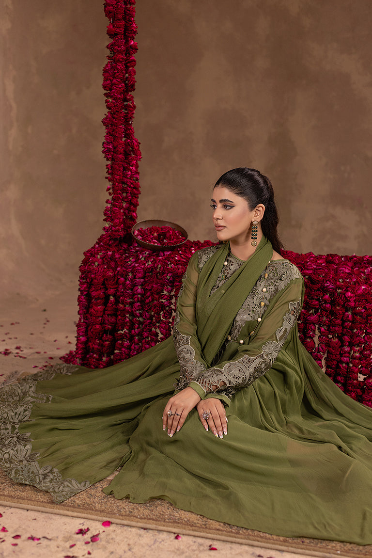  Green Pakistani Party Wear Dress